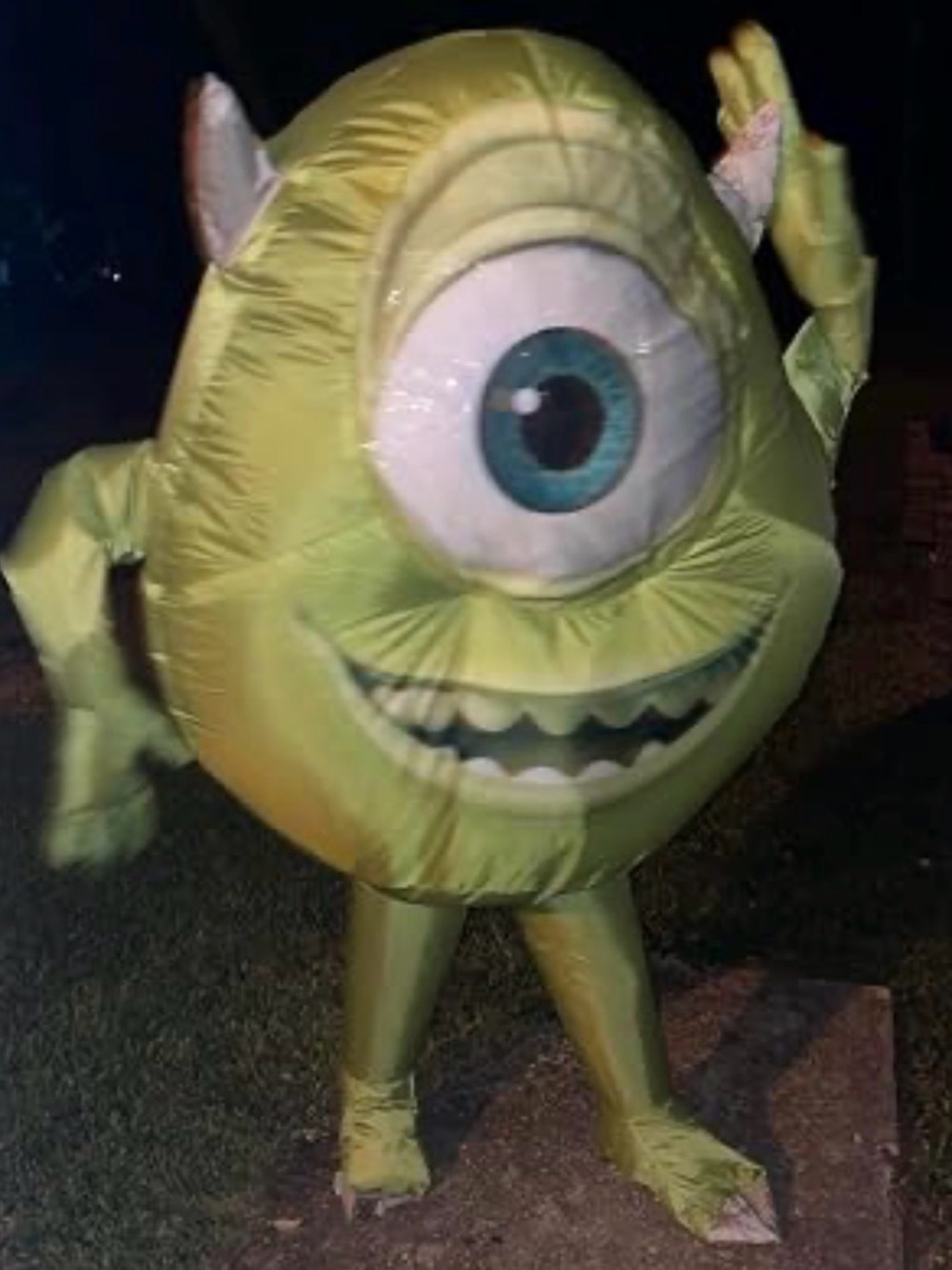 Monsters Inc. Adult Mike Wazowski Inflatable
Costume adult/ kids costumes osfm